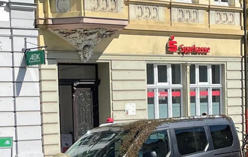 Un bărbat atacat de zeci de albine s-a închis în mașină și a sunat la pompieri, ca să-l salveze, în Germania