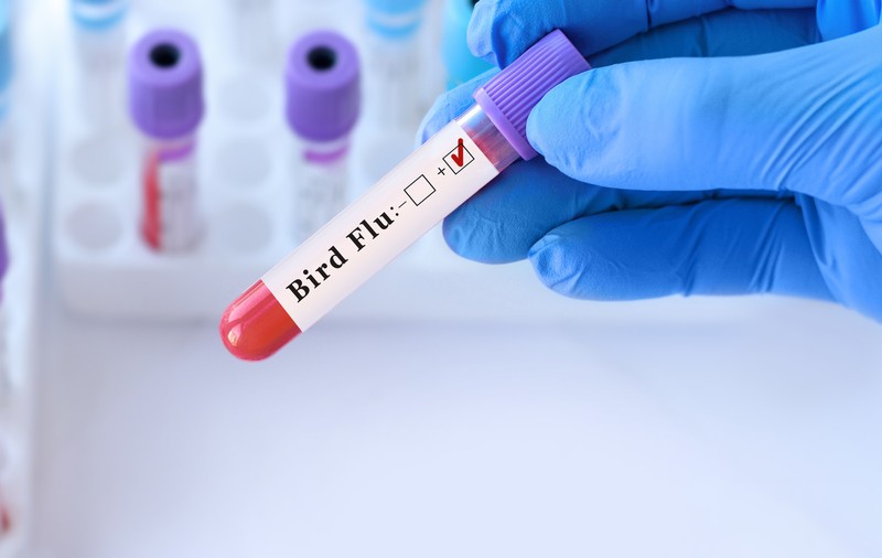 Un adolescent din Canada a fost testat pozitiv pentru gripă aviară H5. Autoritățile anchetează sursa infecției. „Acesta este un eveniment rar”