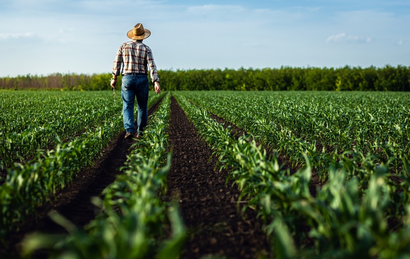 Guvernul Ciolacu sprijină agricultorii cu încă 900 milioane de lei. 2024 este anul cu cel mai mare volum de plăți către fermierii români