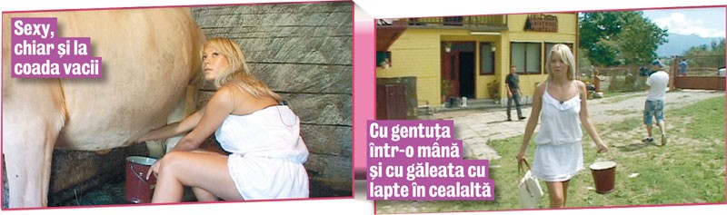 Arhiva foto
