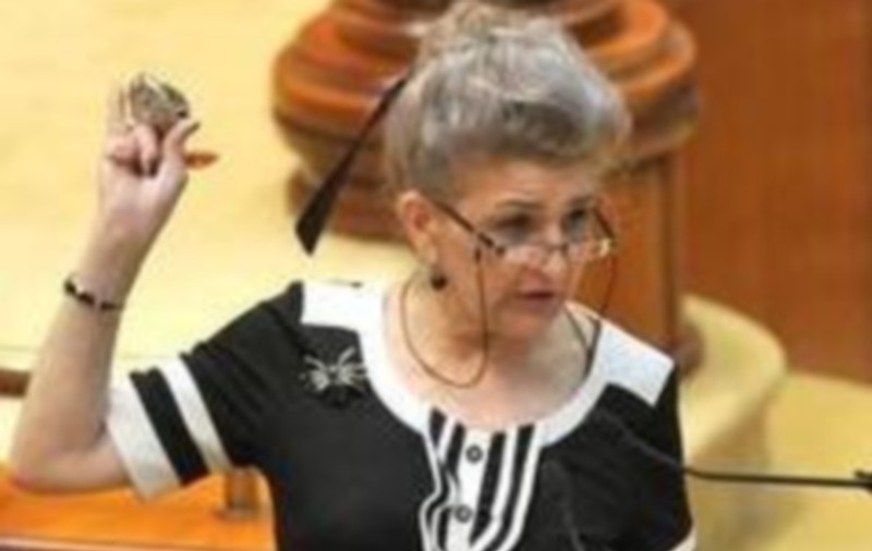 Deputatul PSD Aura Vasile promovează iniţiativele legislative cetăţeneşti