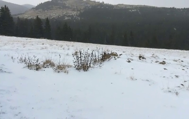 Gerul face victime în județul Suceava. Două persoane au murit din cauza frigului