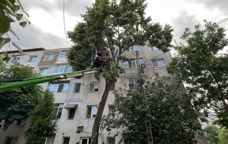 Copaci căzuți și mașini avariate din cauza vântului puternic, în București, Ilfov și Constanța