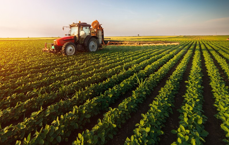 Când libertățile fundamentale „lucrează” împotriva individului. Fenomenul acaparării terenurilor agricole și efectele sale asupra lumii rurale