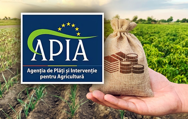Angajata unei primării din Galați a obținut fraudulos peste 70.000 de lei, după ce a depus documente false la APIA. Ce condamnare a primit