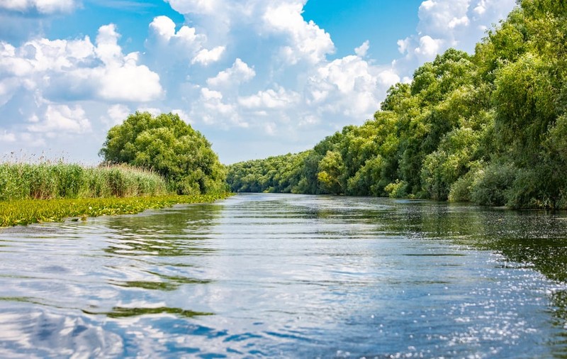 Raport WWF: Subvenţiile agricole acordate în Delta Dunării sunt dăunătoare naturii şi comunităţilor din zonă