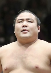 Shobushi