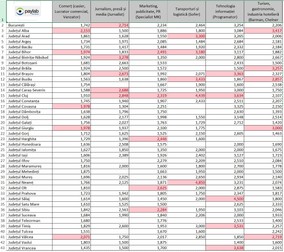 Paylab.ro a realizat un top al salariilor pe care le obţin angajaţii din mai multe domenii de activitate, în funcţie de judeţul în care lucrează