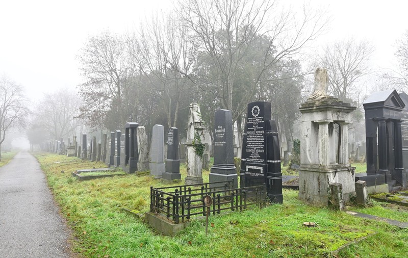 Cimitirul evreiesc din Viena a fost incendiat, iar pe ziduri au fost vopsite simboluri antisemite. FOTO