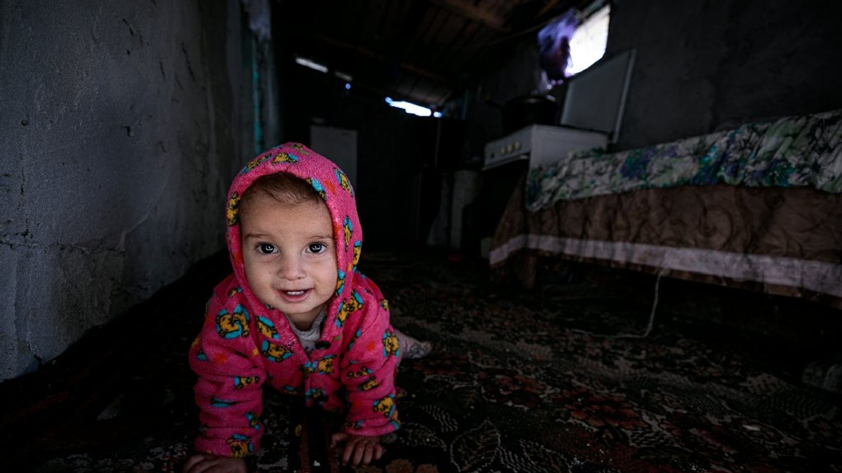 Cel mai tânăr membru din familie. Nu are jucării, dar explorează cu entuziasm universul casei.