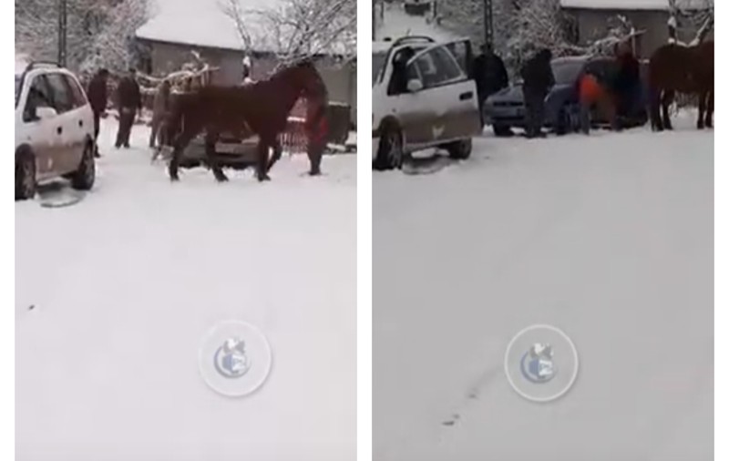VIDEO | Mai mulți șoferi din Satu Mare și-au scos mașinile împotmolite în zăpadă cu ajutorul cailor