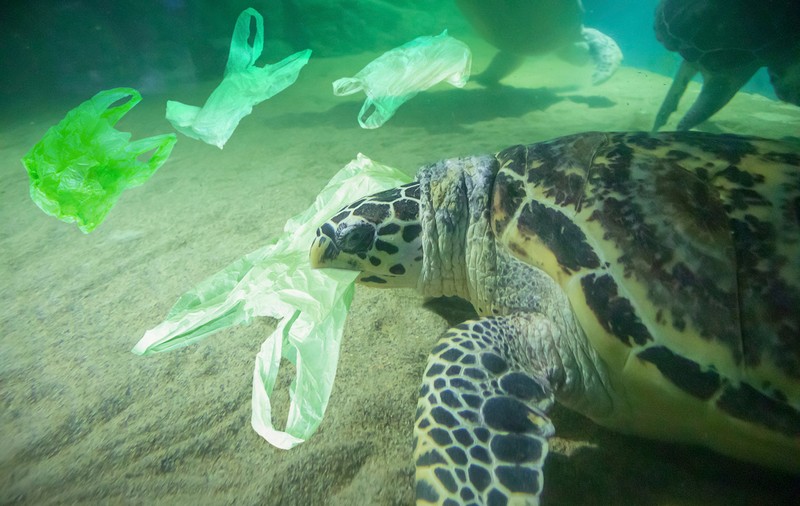 Trei sferturi din deşeurile de plastic din oceane, reprezentat de 10 produse
