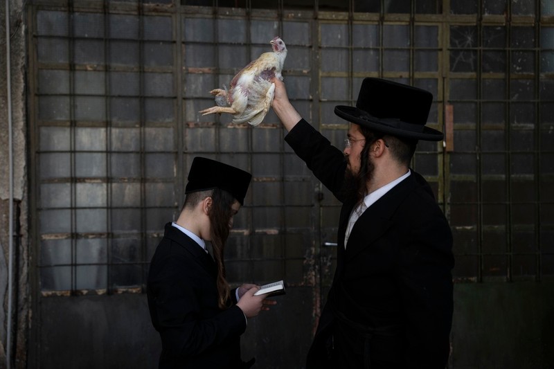 An ultra-Orthodox Jewish man swings a chicken over his kid's head in Bnei Brak, Israel, Thursday, Oct. 10, 2024 as part of the Kaparot ritual a day before the Jewish holiday of Yom Kippur.,Image: 919169240, License: Rights-managed, Restrictions: This content is intended for editorial use only. For other uses, additional clearances may be required., Model Release: no