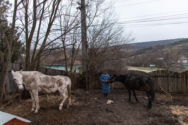 Alexandra şi doi dintre caii ei, Fulga şi Pedicuţa, în curtea casei din Breazu