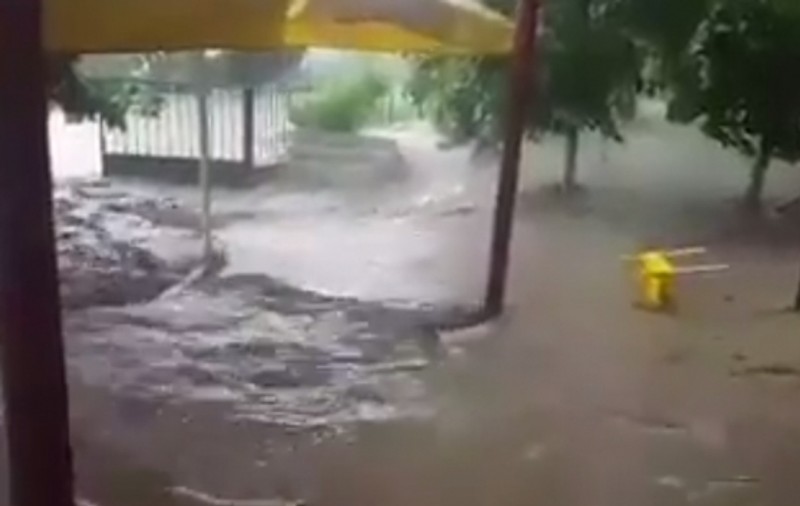 VIDEO/ Ploaia torenţială a făcut prăpăd în Alba. Mai multe gospodării şi drumuri au fost inundate