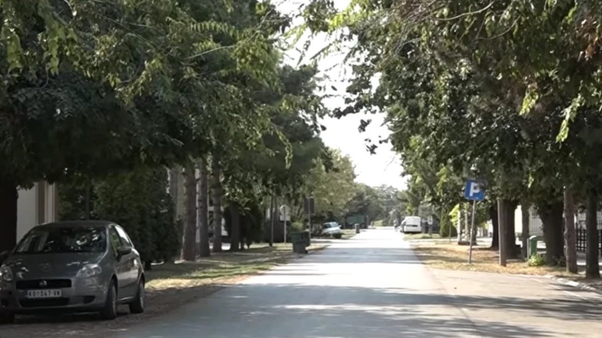 Satul cu toate strazile asfaltate din Banatul sârbesc