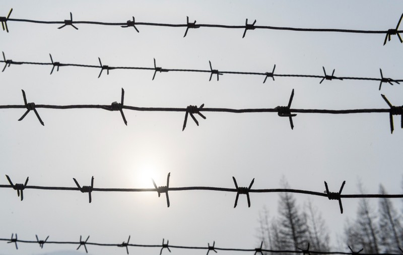 Peste jumătate dintre victimele deportărilor din 1941 pot fi identificate în listele publicate de Arhivele Naționale
