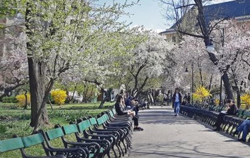Prognoza meteo 13 mai 2020. Instabilitatea atmosferică se mai reduce și scad temperaturile
