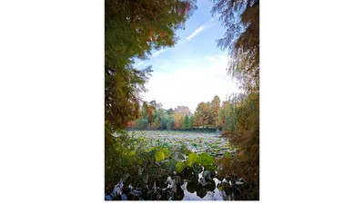 Zile de toamnă cu Xiaomi Mix Flip: Imagini care vorbesc