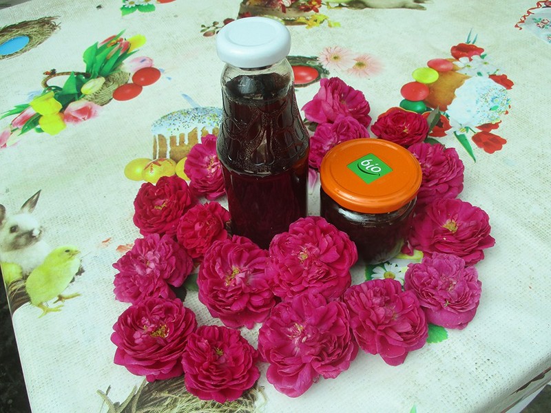 Arhiva foto