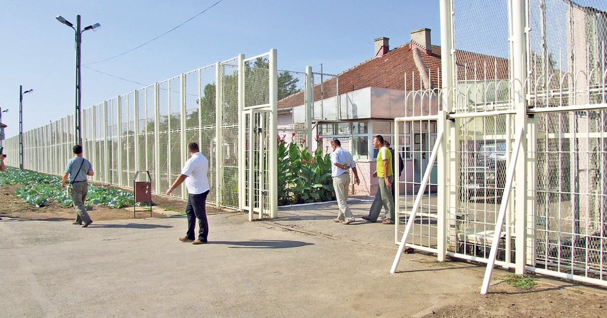 Sindicatele cer demiterea conducerii Penitenciarului Poarta Alba
