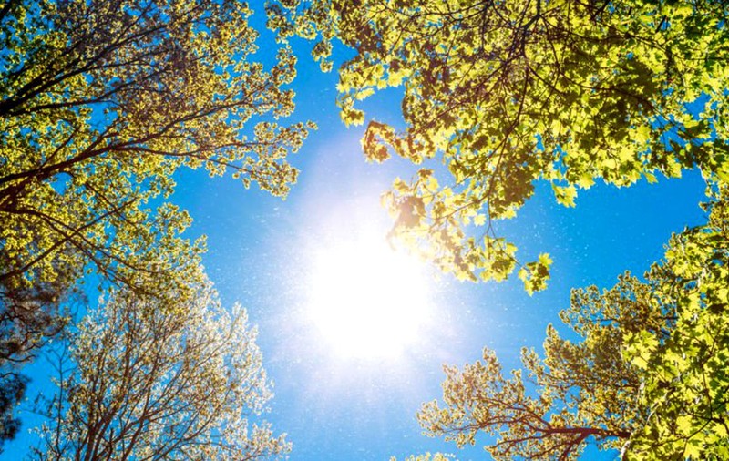 Prognoza meteo pentru luni, 12 august. Caniculă și disconfort termic ridicat