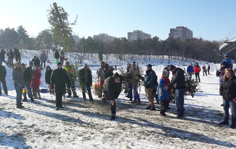 Au azvârlit cu brazii și apoi le-au dat foc. Zeci de bucureșteni s-au întrecut în Parcul Drumul Taberei într-o competiție de tip german pentru un sac cu sare și o lopată