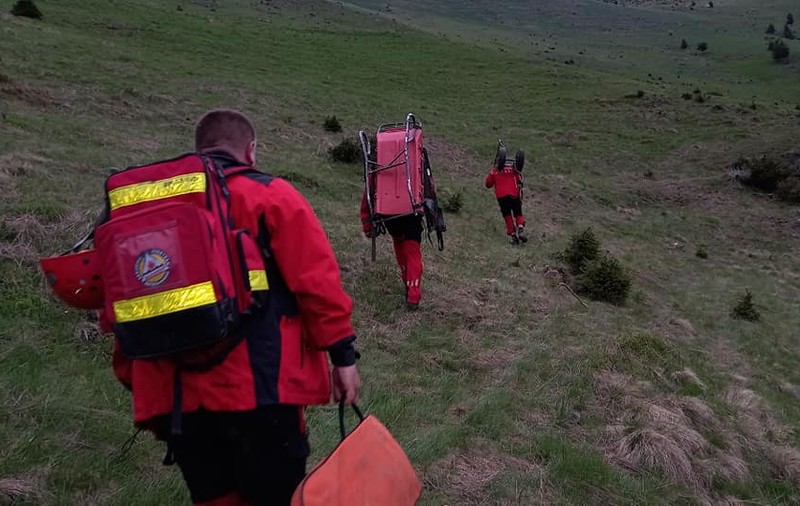 Bărbat în șoc anafilactic în munții Piatra Craiului, după ce a fost înțepat de o albină. Intervin salvamontiștii