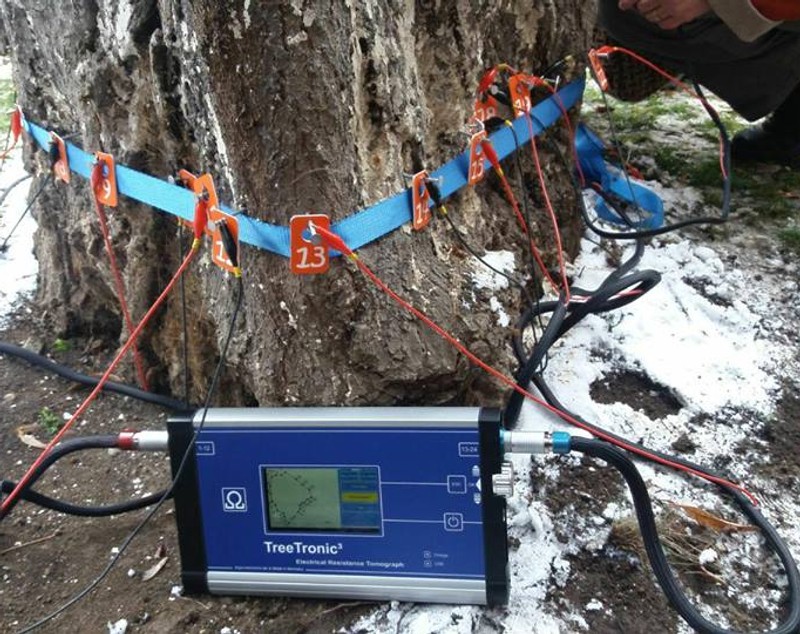 Tomograf pentru copaci, cumpărat de Primăria din Cluj. Dispozitivul a costat peste 130.000 de lei