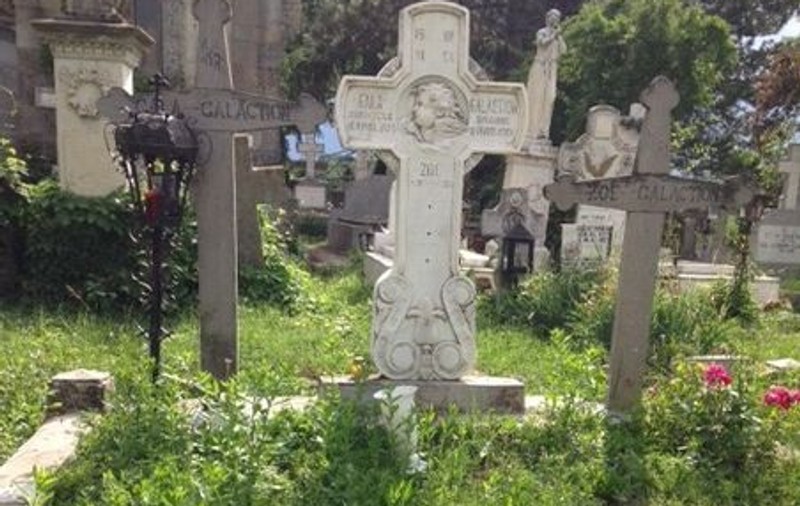 Dan Negru, atac la conducerea Uniunii Scriitorilor: "Pleşu, Manolescu sau Liiceanu ar trebui să-şi îngrijească înaintaşii aşa cum fac cu maşinile străine"