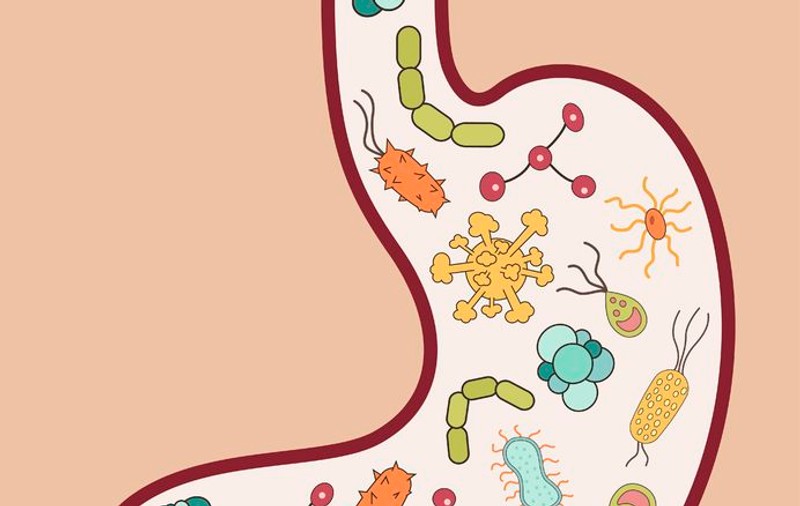 Elimină paraziții intestinali cu aceste remedii naturiste
