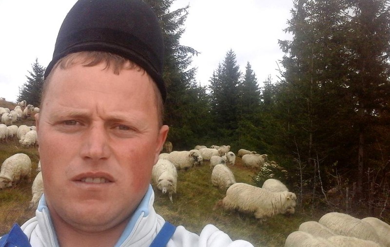 Oieritul din România, ”măcelărit” de exportul de animale vii. Ghiță Ciobanul: ”Ăștia ușor, ușor, reușesc să distrugă un bun național”