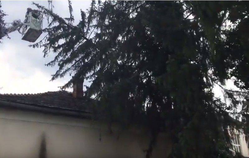 Codul portocaliu a făcut ravagii în Arad. Mașini avariate și acoperișuri distruse
