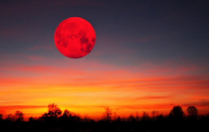 LUNA ROŞIE, eclipsa care ANUNŢĂ APOCALIPSA? | FOTO