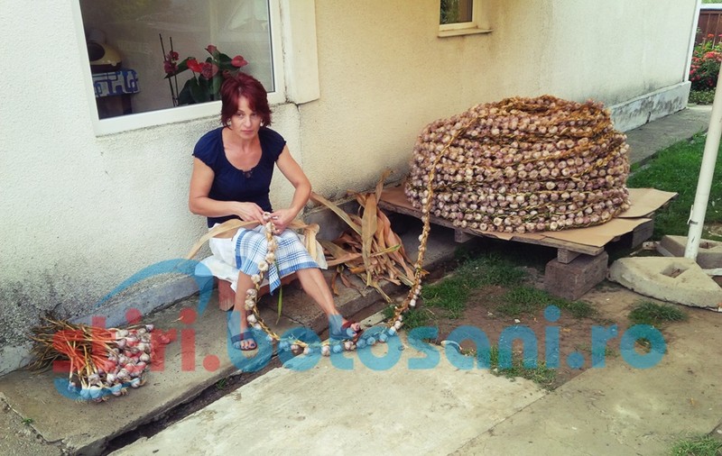 Câțiva botoșăneni au făcut o cunună gigantică, dar n-au avut bani pentru Cartea Recordurilor! Ce sumă li s-a cerut