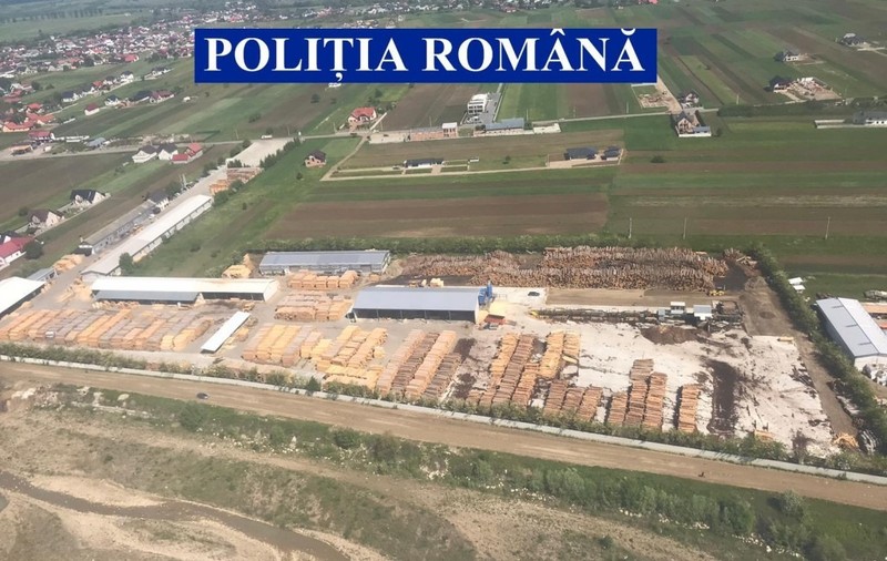 VIDEO| Descinderi în forță la firme de prelucrarea lemnului din Suceava. Ce au găsit polițiștii după trei zile de verificări