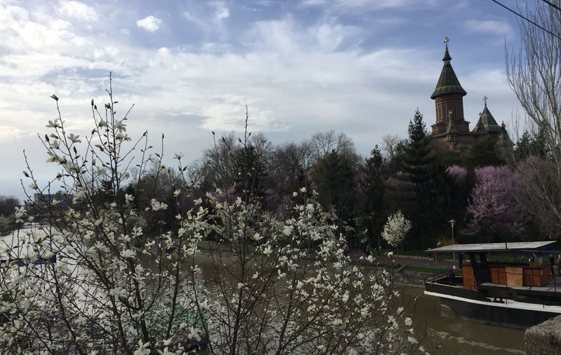 TURIST ÎN ȚARA MEA/ Timișoara înflorește odată cu primăvara. Mica Vienă, orașul premierelor cu o alură aparte de Paști