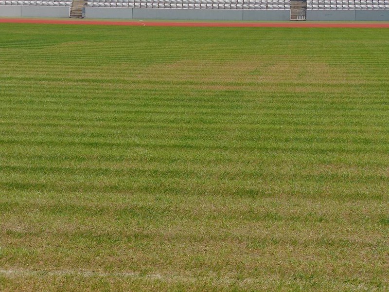 Arhiva foto