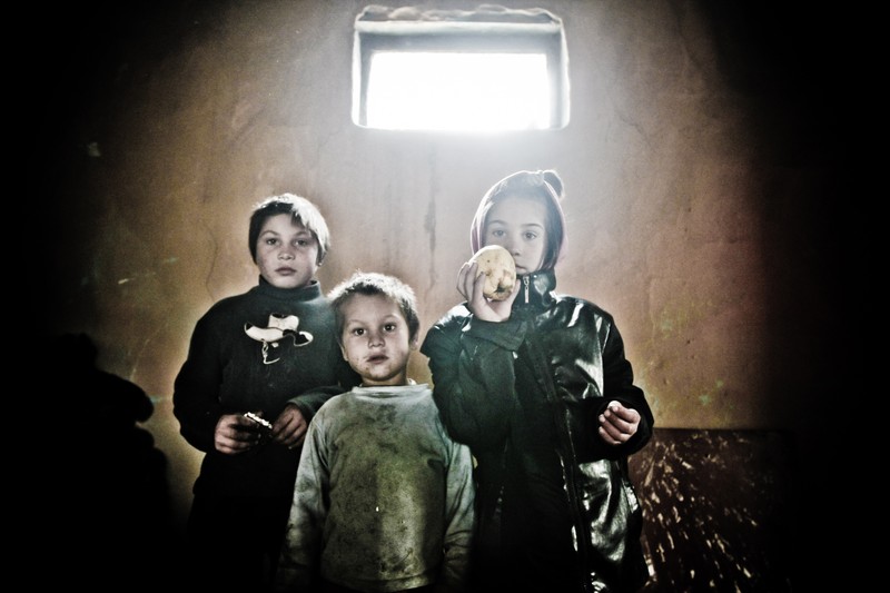 Arhiva foto