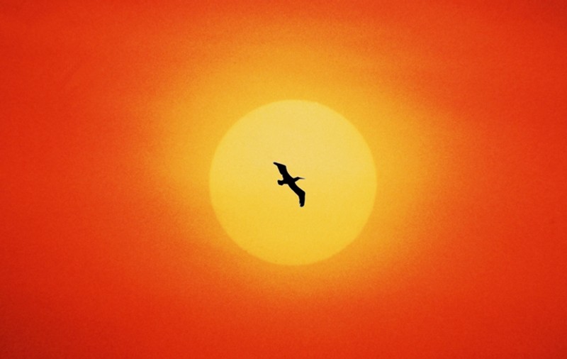 PROGNOZA DE FOC! AUGUST, luna cu temperaturi ca-n Sahara şi cu radiaţii. VIN ZILE DE PÂRJOL!   