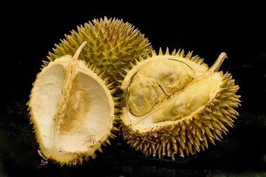 Fruct durian (diversificare.ro)