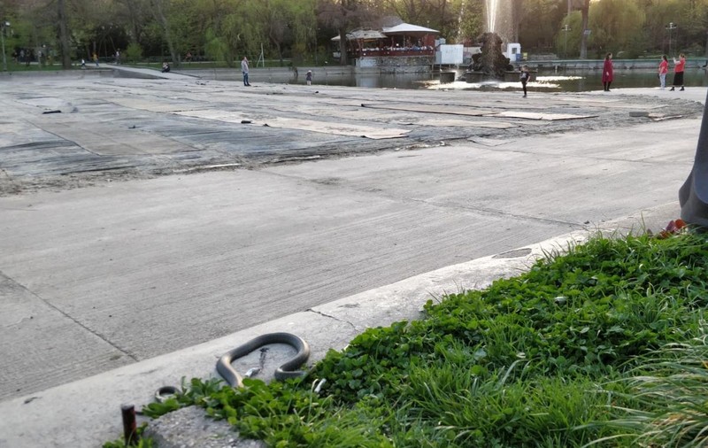 Un bărbat din Neamț a fost mușcat de un șarpe cu care s-a jucat. A dus reptila în pungă, la spital