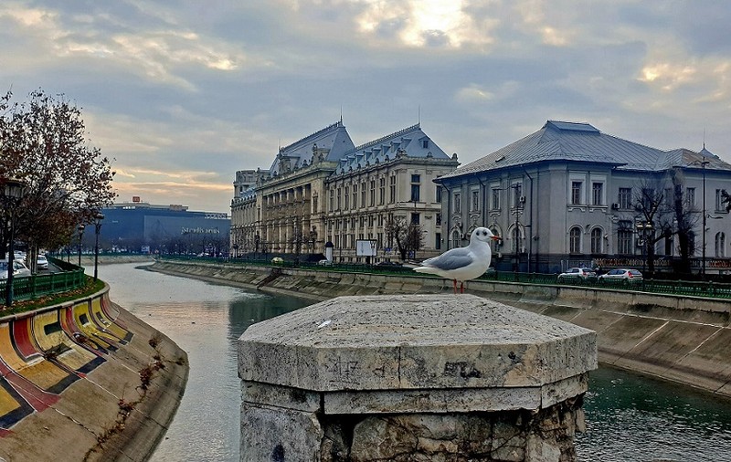 Vremea în prima lună a anului. Meteorologii anunță când vin ninsorile și frigul