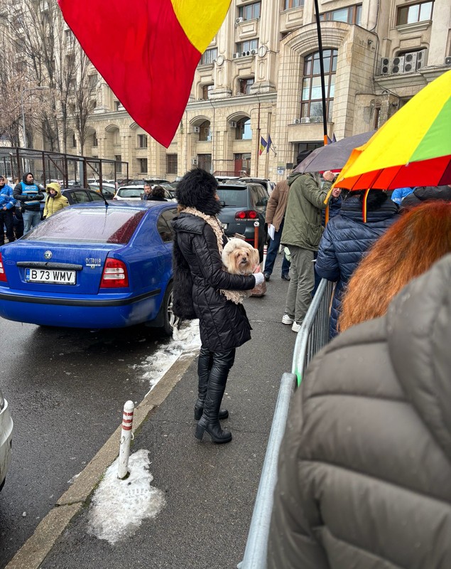 În „Valul Democrației” al susținătorilor lui Călin Georgescu: „Să se aleagă praful de tine, dacă nu scrii adevărul!” 