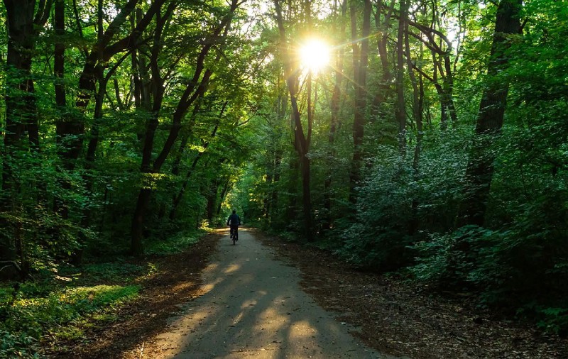 Centura Verde a Bucureștiului: 250 de hectare noi de infrastructură verde