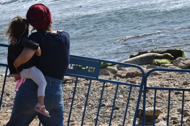 TEL AVIV, May 15, 2023 -- People look at a Mediterranean monk seal on the seashore at Jaffa beach in Tel Aviv, Israel, on May 15, 2023. Mediterranean monk seals, listed as one of the world's most endangered marine mammals, are the rarest out of the 33 species of seals that exist in the world.,Image: 776081719, License: Rights-managed, Restrictions: , Model Release: no