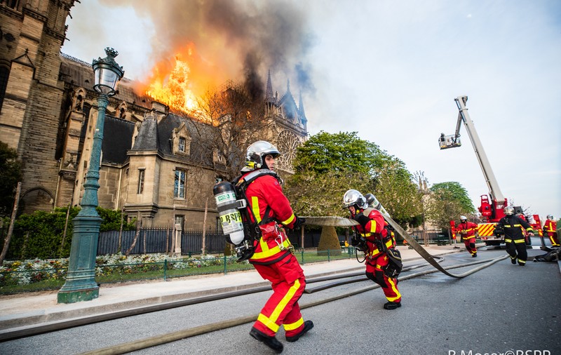 Avem tehnologie 3D, dar nu mai avem copaci seculari! Defrișările au dus la dispariția arborilor pentru reconstrucția Notre-Dame