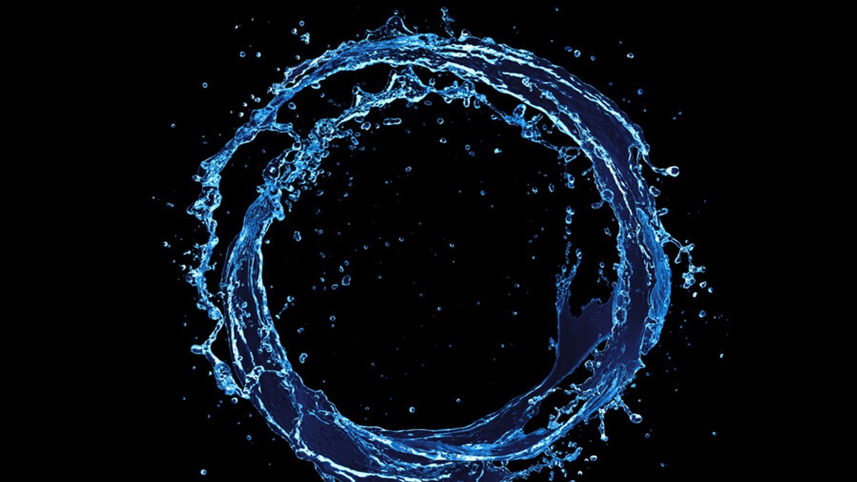 zodiile de apa