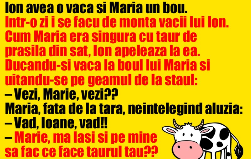 BANC: Ion, Maria și... o vacă