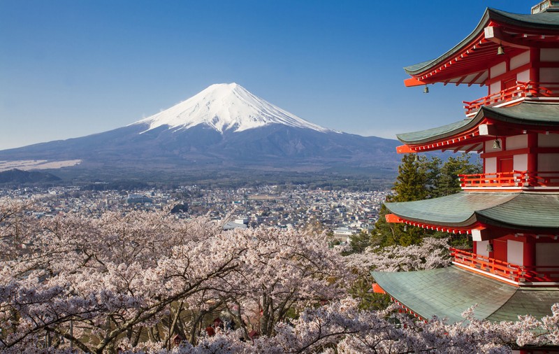 Știai că? Japonia, țara bizareriilor